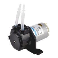 12V/24V Įtampa 12V DC Dozavimo Siurblys 3*5 Dydis Analitinis Vandens Siurblys Peristaltinis Siurblys Naudojimui Akvariume juoda