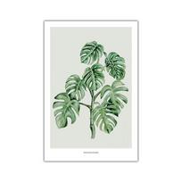 Monstera Lapas Žali Augalai Akvarelės Plakatai Spaudiniai Modernus Namų Dekoras Paveikslas Sienos Menas Drobės Tapyba Nordic Svetainės Dekoras 21*30cm