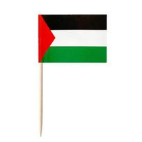 100 vnt. Palestinos dantų krapštukų vėliavėlės Kokteilių vaisių smeigtukai Pyragėlių viršūnės Vakarėlio bufeto sūrio žymeklis Maisto etikečių lazdelių vėliavėlių dekoravimo rinkinys 100pcs black