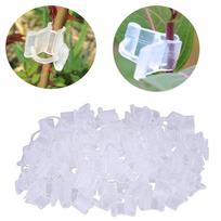 Plastikiniai sodo skiepijimo spaustukai Skaidrūs Daržovių Gėlių Augalų Skiepijimas Sodininkystės Papuošalai Įrankiai Vynmedžio Augalas 10pcs