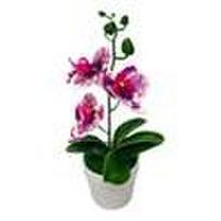 Kompaktiškas dizainas Dirbtinė gėlė Augalas Phalaenopsis Bonsai Lengva formuoti A bit of purple