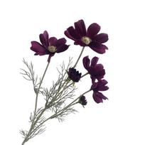 Artificial Cosmos Bipinnatus UV Resistant Fake Silk Galsang Flower Home Office Wedding Party Indoor Outdoor Faux Bloom Decoration