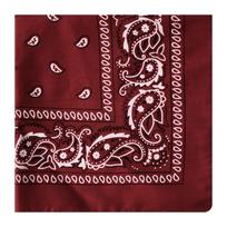 Moisture Wicking Bandana For Street Performers Workout Classes And City Fashion Styling Necessities bordinė