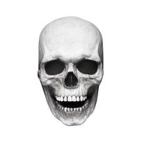 Easter Party Skull Helmet Prank Head Cover Halloween Mask Full Head Skull Movable Jaw Skull Mask balta