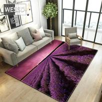 Romantiškas levandų svetainės kilimas Violetinis gėlių rašto kilimas Modernus sofos kilimėlis Mergaitės kambario kilimas Lovos šoninis kilimėlis Flanelinis kempininis grindų kilimėlis 40x60cm 1pcs