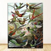 Palmių atspaudai Vintažiniai kolibriai Botanikos atogrąžų siena Menas Drobė Tapyba Paveikslėliai Dekoras Ernst Haeckel biologijos plakatai 21cm×30cm NoFrame