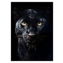„Panther“ laukinių gyvūnų paveikslai Drobės tapyba Plakatai ir spaudiniai Sienų menas Modernus gyvenamasis kambarys Namų miegamojo dekoravimas Meno kūriniai 21x30 No Frame