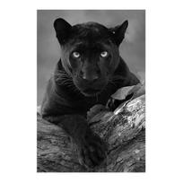 Juodo leopardo drobės tapyba Modernus sienų menas Gyvūnų plakatai ir atspaudai Paveikslas svetainės dekoravimui Tapyba be rėmo 21*30cm black
