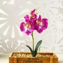 1 vnt. dirbtinis mini Phalaenopsis gėlių imitacinis augalas, laikantis gėlių puokštę vestuvių reikmenims pasidaryk pats namų dekoravimui