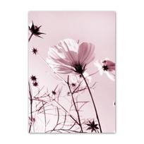 Mielos žydinčios gėlės Moteris Dama Drobės Sienų Meno Spaudiniai Tapyba Mada Rožinė Laukiniai Botaniniai Plakatai Svetainės Dekoras Paveikslas 20x30cm white