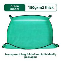 Sodo kilimėliai sukulentams: Dirvožemio keitimas, sodinimas, sodinimas vazonuose PE Green (Plastic Buckle)