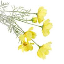 Artificial Cosmos Flowers 23  Faux Silk Cosmos Flower Stem Fake Flower Arrangements for DIY Wedding Bouquets Home Office Table Vase Decoration geltona