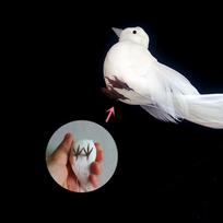 Mini dirbtiniai amatai Balandžiai Sodo statula Dekoratyvinis simuliacinis balandis Nuimami paukščiai 1PC white