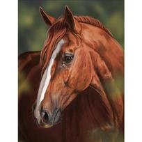 5d deimantų tapyba arklio deimantinė mozaika gyvūnų deimantų siuvinėjimas cirkonio akmenys rankų darbo 20X30CM raudona
