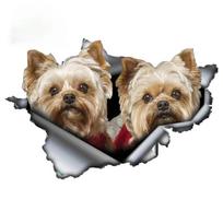 S50065# Jorkšyro šunų Yorkie poros lipdukas ant automobilio vinilo lipduko vandeniui atsparaus dekoravimo automobilio lipdukų Width 13cm
