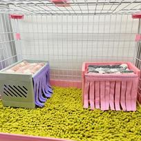 4 vnt. Jūros kiaulytės Olandų kiaulytės Kampinis slėptuvės namelis Aukšta žema lova Kutais apipjaustyta durų užuolaida 4pcs