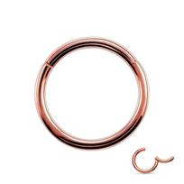 Titano lankstinio segmento lankelis, nosies žiedas, spenelis, spenelis, ausų kremzlė Tragus Helix lūpų kūno auskarų vėrimas 10mm ryškiai rožinė