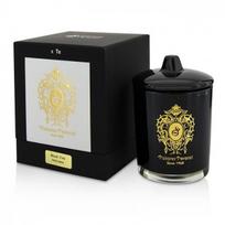 Tiziana Terenzi Black Fire kvapioji žvakė 170g