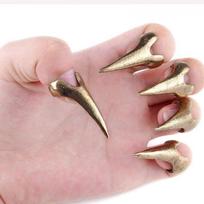 5pcs Wholesale Punk Rock Spike Talon Rings Finger Gothic Claw bronza