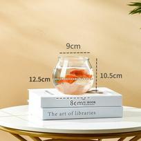 Transparent Round Ornamental Fish Tank Portable Goldfish Small Fish Bowl Pet Plastic Lightweight Desk Aquarium Bowl Home Decor A1