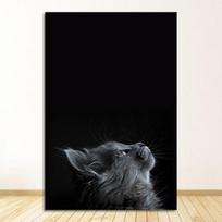 Namo dekoravimo dekoracijos Kambario sienų lipdukai Namų dekoras Svetainės piešiniai Katės Plakatas Tapyba vaikų darželis 21cm×30cm NoFrame black