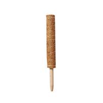 Augalų atraminis stulpas Sukraunamas tvirtas medinis kokoso samanų totemo stulpas, skirtas kambariniams augalams 30cm