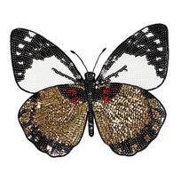 Užlyginamas lopas Siuvinėta aplikacija Marškiniai Kelnės Siuvimas Ant Skylių Drabužiai Drugelis 22cm*23cm