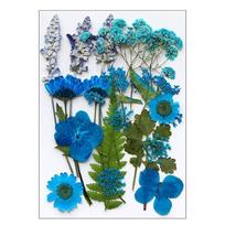 Džiovinti presuoti gėlės dervos formoms Natūralūs sausi gėlių lapai meno ir amatų reikmenims Scrapbooking Juvelyrikos gamybai 6XDE