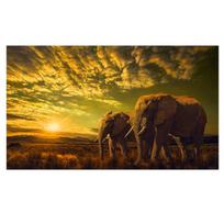 Afrikos savana Du drambliai Gyvūnas Drobės tapyba Plakatai ir atspaudai Skandinaviški Cuadros Sienų meno paveikslai Svetainė 20cm×40cm NoFrame yellow