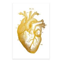 Žmogaus anatomija Meno kūriniai Medicininė siena Paveikslėlis Skeletas Organas Raumenų sistema Spalvingas plakatas Drobės spaudinys Kūno ugdymas Tapyba 21x30cm No Frame