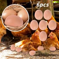 6 vnt Mannequin Oeufs Faux Oeufs Aide Pondre Poule