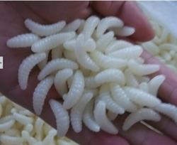 2cm/0.4g Musės lervos milčiaus kirmino minkštas plastikas bioninis masalas - Imitacinis masalas žvejybai balta