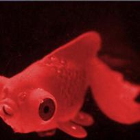Silikoninis šviečiantis modeliavimas auksinės žuvelės modelio žuvies rezervuaro kraštovaizdžio dekoravimas Red Goldfish No. 5