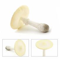 Vegetable Model Fungus Figurines Matsutake Oyste Artificial Simulation Mushroom Pleurotus Plant Fungus Model Garden Decor
