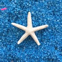 Dervos jūrų žvaigždės Viduržemio jūros stiliaus akvariumo dekoracijos Starfish3.5cm