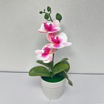 Kompaktiškas dizainas Dirbtinė gėlė Augalas Phalaenopsis Bonsai Lengva formuoti violetinė