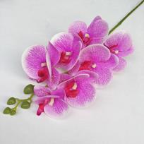 Dirbtinė Phalaenopsis orchidėja 3D spausdinta Realistiška Daugiašakė Namų Vestuvių Dekoravimui StyleI