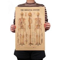 Žmogaus paveikslai Kūno funkcijų struktūros diagrama Retro stiliaus kraftpopieriaus plakatas smėlis
