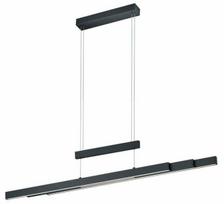 Šviestuvas lubų Trio Trajan, LED, 2700 - 5000 °K, 1 x 45 W, balta sp./juoda sp.