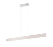 Šviestuvas lubų Trio Galway, LED, 2700 - 6000 °K, 1 x 35 W, balta sp./pilka sp.