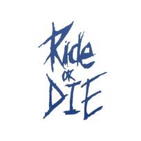 Dviračio rėmo lipdukas Ride Or Die Top Tube lipdukai Dviračių lipdukai Dekoratyviniai rėmo lipdukai Dviračio lipdukai Dviračio lipdukai 1vnt