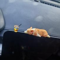 Sleeping Posture Corgi Car Ornaments, Creative Interior Center Console Decorations, Realistic And Cute Resin Puppy Car. One Size oranžinė