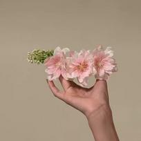 Cherry Blossom Chinese Style Hair Comb Day-long Wear Headdress Flower Cluster Hair Combs  Hair Acc rožinė