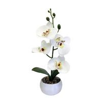 3D Printed Decorative Plant Phalaenopsis Flower Pot Decoration Centerpiece White white