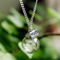 Natural Dandelion Glass Bottle Home Decoration Long Strip Leather Long Chain Pendant gryna
