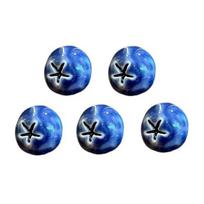 5/6/10 vnt. 3D mėlynių šaldytuvo magnetas DIY namų biuro virtuvės spintelės šaldytuvo dervos mini uogų vaisių magnetinė dekoracija ornamentas 5pcs