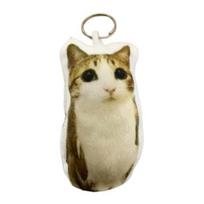Yousheng Meow Katės Balso Aktyvuojamas Pliušinis Raktų Pakabukas Mielas Kalbantis Pliušinis Gyvūnėlis Pakabukas Krepšiams Kuprinėms Juokinga Dovana Vaikams Studentams 1pc