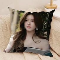 Star Zhao Lusi Cushion Cover Soft Plush Fabric DoubleSided Printed Sofa Cushion Cover for All Seasons Home Decor Gift 40x40cm16x16in