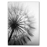 dandelion canvas painting quote wall picture home decor landscape plant art posters life forever quote art prints HD2800 21x30cm no frame