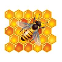 T3255# Honey Bee korio lipdukas ant automobilio vinilo lipduko vandeniui atsparaus dekoravimo automobilio lipdukų A-15cm-Longest Side